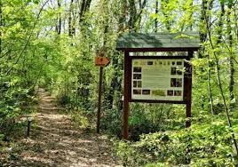 Selva Castelfidardo
